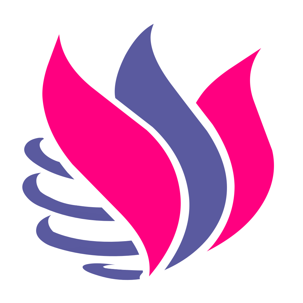 Vixflo Developer